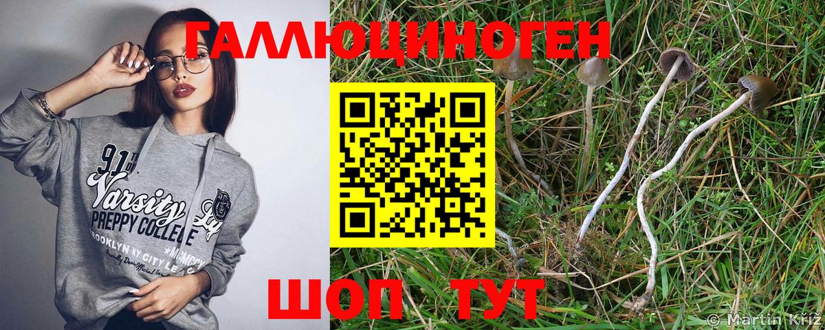 Псилоцибиновые грибы мицелий Бугуруслан